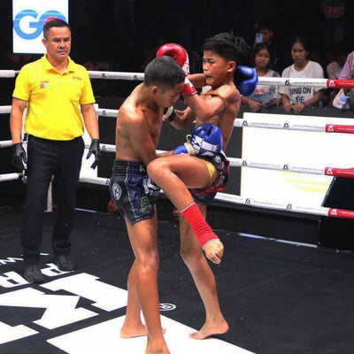 Regels voor professionals thaiboksen en muay thai