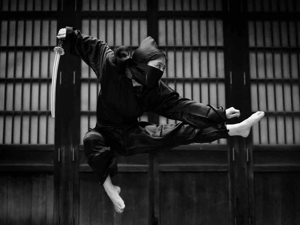 Ninjutsu