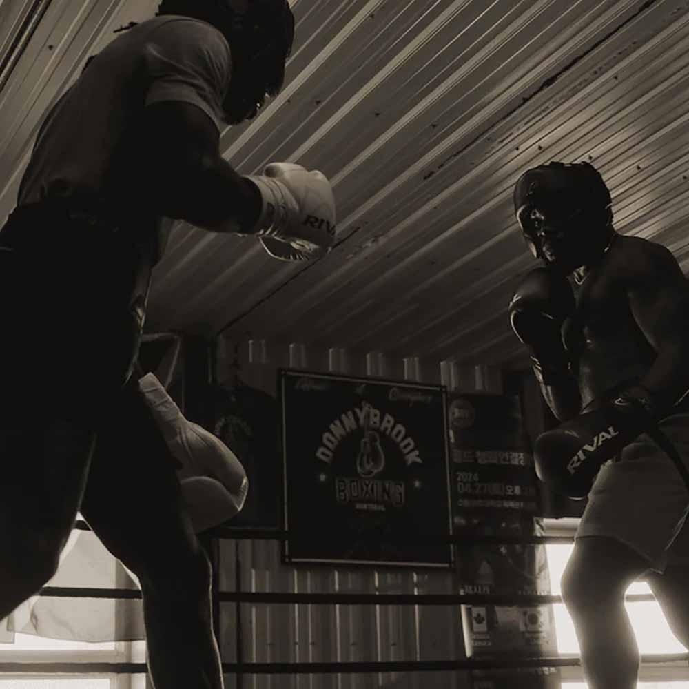 Rival RS11V, Hayabusa T3 of Twins BGVL3 - voor de serieuze vechtsporter, de allrounder en de Muay Thai vechter