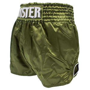 Short de kick-boxing Booster TBT Plain V2 Vert