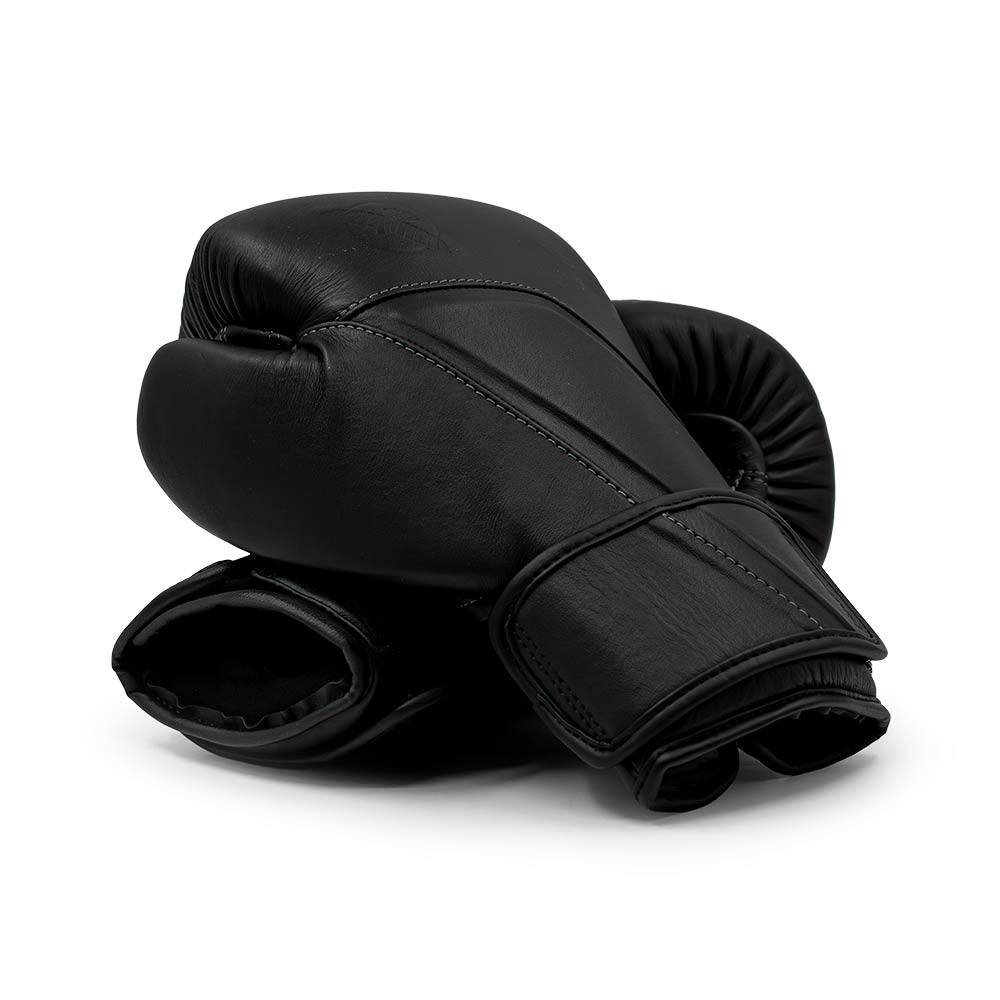Bokshandschoenen Hayabusa E1 Zwart Leer