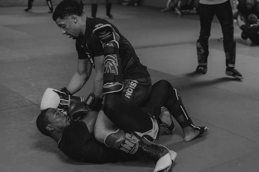 MMA in den Niederlanden