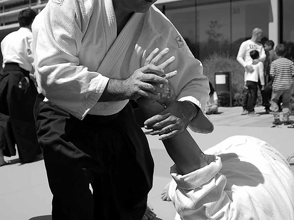 Hapkido