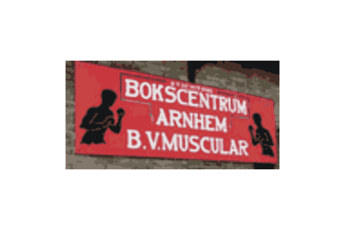 BV Muscular