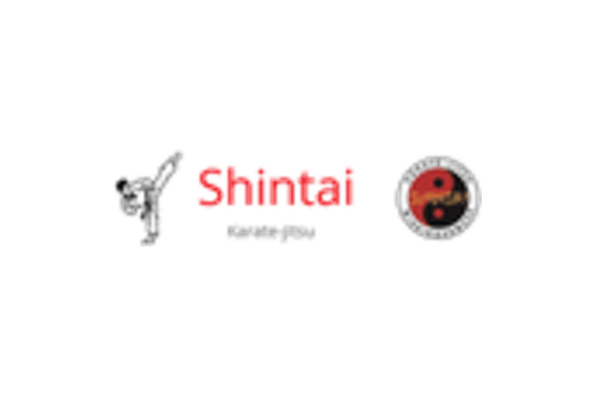 Karate-jitsu-skolen Shintai