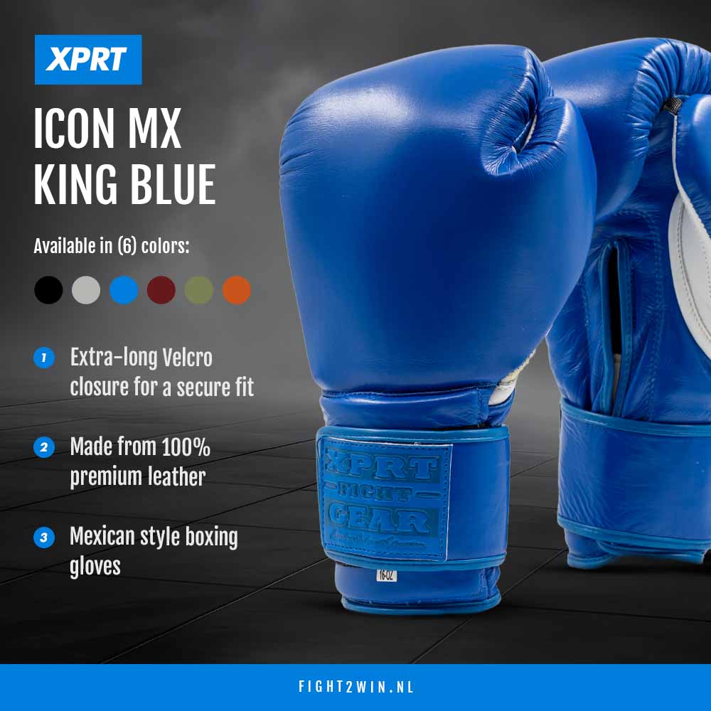 Gants de Boxe XPRT Icon MX Oxblood infographic 5