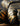 Booster - Fight2Win.nl