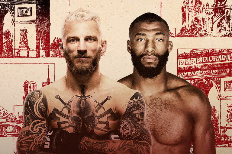 UFC Fight Night: Hooker mod Parnasse