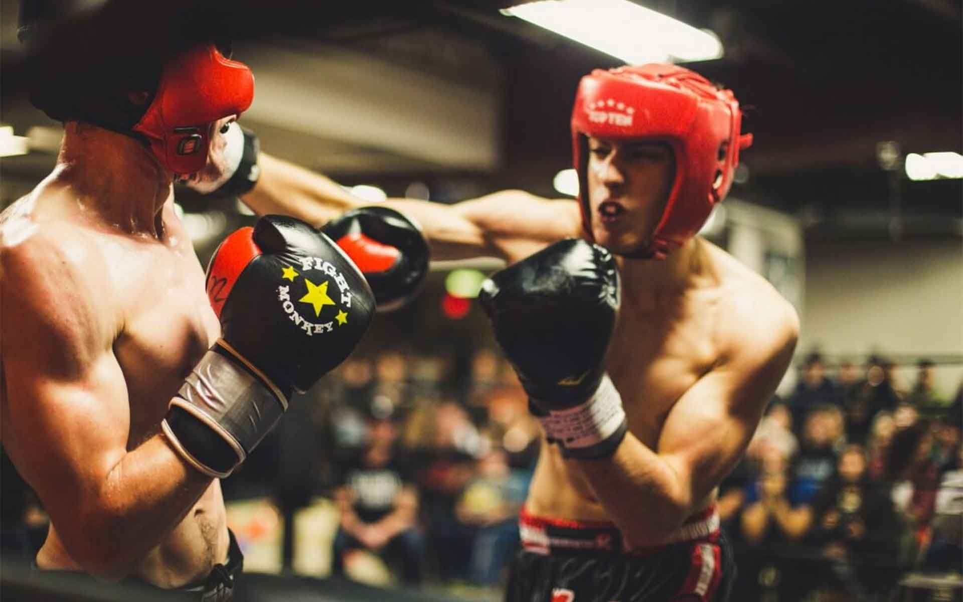 Boxing University