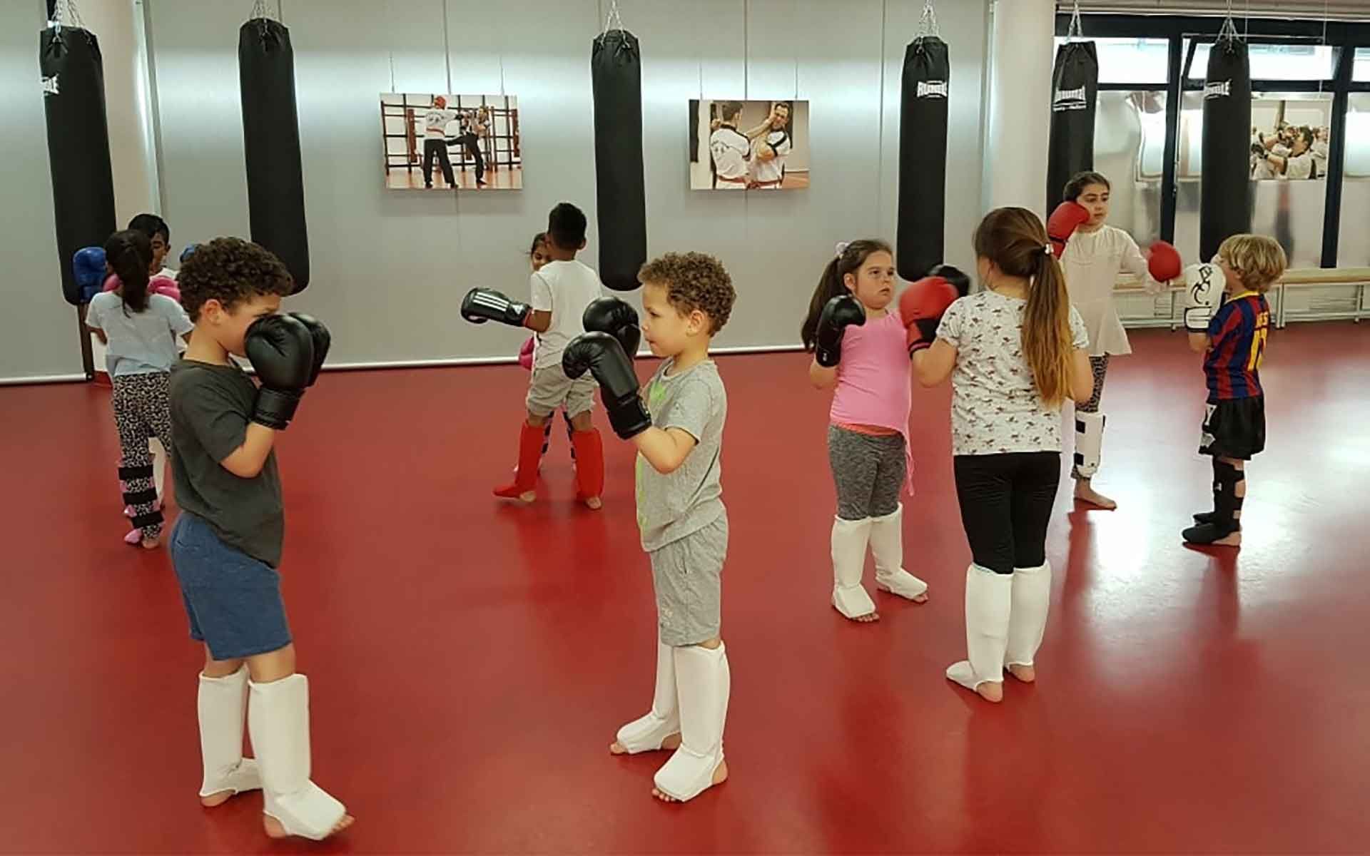 Martial Arts Den Haag